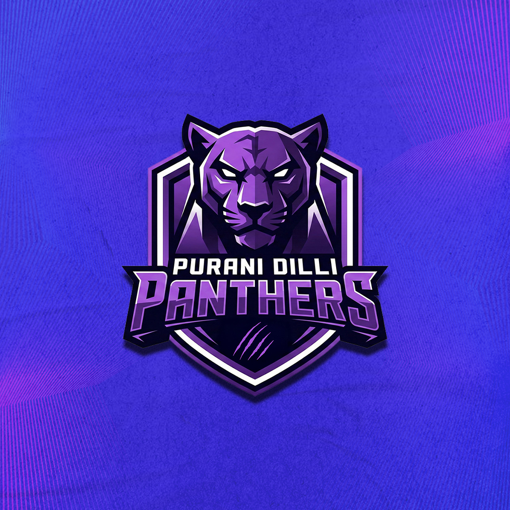 Team Purani Dilli Panthers